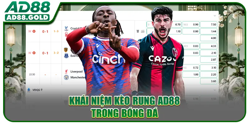 Khái niệm kèo rung AD88 trong bóng đá