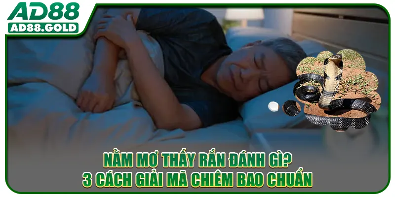 Nằm Mơ Thấy Rắn Đánh Gì? 3 Cách Giải Mã Chiêm Bao Chuẩn