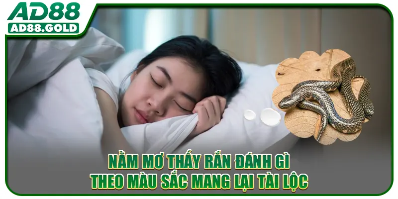 Nằm mơ thấy rắn đánh gì theo màu sắc mang lại tài lộc