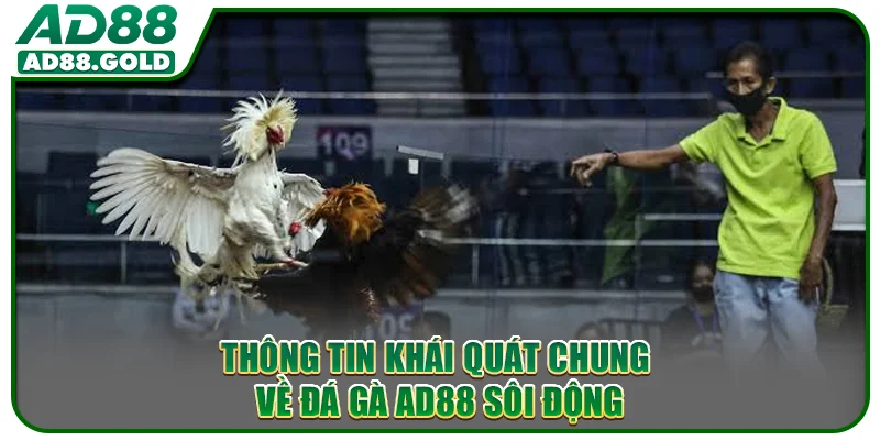 Thông tin khái quát chung về đá gà AD88 sôi động