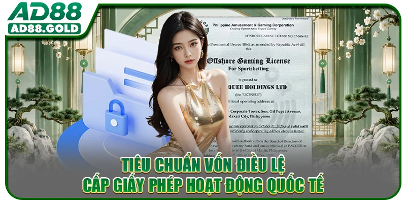 Tiêu chuẩn vốn điều lệ cấp giấy phép hoạt động quốc tế