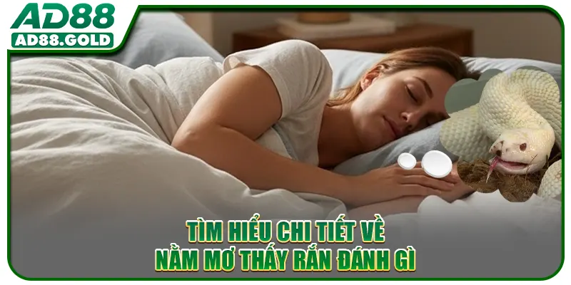 Tìm hiểu chi tiết về nằm mơ thấy rắn đánh gì