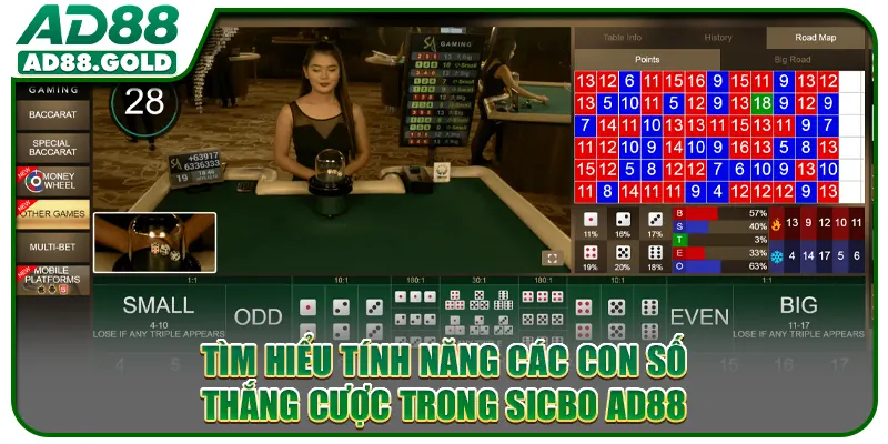 Tìm hiểu tính năng các con số thắng cược trong sicbo AD88