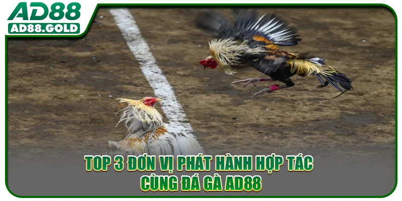 Top 3 đơn vị phát hành hợp tác cùng đá gà AD88